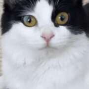 ヒメ日記 2025/07/19 16:57 投稿 みう 千姫(道後)