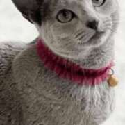 ヒメ日記 2025/07/28 23:20 投稿 みう 千姫(道後)