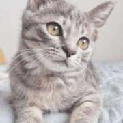 ヒメ日記 2025/07/30 15:05 投稿 みう 千姫(道後)