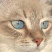 ヒメ日記 2025/08/03 20:55 投稿 みう 千姫(道後)