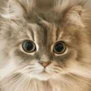 ヒメ日記 2025/08/05 21:19 投稿 みう 千姫(道後)