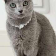 ヒメ日記 2025/08/18 22:39 投稿 みう 千姫(道後)