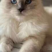 ヒメ日記 2025/08/22 20:37 投稿 みう 千姫(道後)