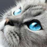 ヒメ日記 2025/08/30 22:14 投稿 みう 千姫(道後)