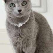 ヒメ日記 2025/09/02 22:27 投稿 みう 千姫(道後)