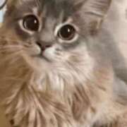 ヒメ日記 2025/09/07 20:27 投稿 みう 千姫(道後)