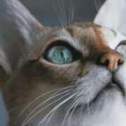 ヒメ日記 2025/09/14 21:00 投稿 みう 千姫(道後)