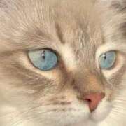 ヒメ日記 2025/09/17 17:02 投稿 みう 千姫(道後)