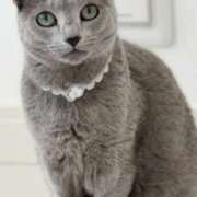 ヒメ日記 2025/09/20 20:43 投稿 みう 千姫(道後)