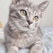 ヒメ日記 2025/09/27 22:20 投稿 みう 千姫(道後)