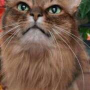 ヒメ日記 2025/10/01 12:43 投稿 みう 千姫(道後)