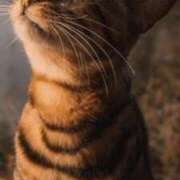 ヒメ日記 2025/10/06 12:09 投稿 みう 千姫(道後)