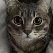 ヒメ日記 2025/10/09 20:47 投稿 みう 千姫(道後)