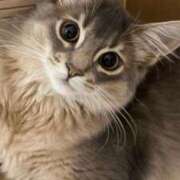 ヒメ日記 2025/10/12 20:38 投稿 みう 千姫(道後)