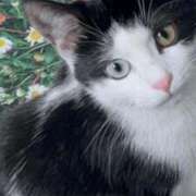 ヒメ日記 2025/10/14 20:46 投稿 みう 千姫(道後)