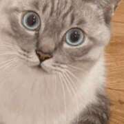 ヒメ日記 2025/10/15 14:38 投稿 みう 千姫(道後)