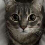 ヒメ日記 2025/10/17 22:31 投稿 みう 千姫(道後)