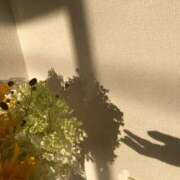 ヒメ日記 2025/10/24 23:18 投稿 みう 千姫(道後)