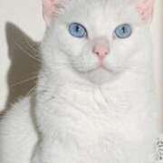 みう ☆１１／２９　ありがとうの気持ち ☆ 千姫(道後)