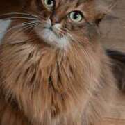 ヒメ日記 2025/12/05 22:31 投稿 みう 千姫(道後)