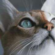 ヒメ日記 2025/12/24 22:06 投稿 みう 千姫(道後)