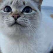 ヒメ日記 2025/12/27 22:28 投稿 みう 千姫(道後)