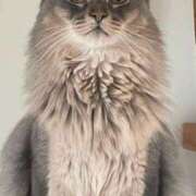 ヒメ日記 2025/12/29 15:33 投稿 みう 千姫(道後)