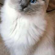 ヒメ日記 2026/01/04 22:03 投稿 みう 千姫(道後)