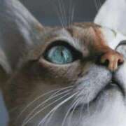 ヒメ日記 2026/01/06 21:28 投稿 みう 千姫(道後)