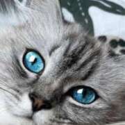 ヒメ日記 2026/01/12 09:36 投稿 みう 千姫(道後)