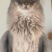 ヒメ日記 2026/01/13 21:16 投稿 みう 千姫(道後)