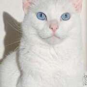 ヒメ日記 2026/01/14 22:07 投稿 みう 千姫(道後)