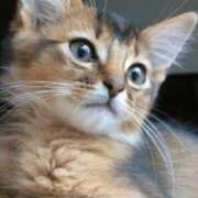 ヒメ日記 2026/01/24 21:39 投稿 みう 千姫(道後)