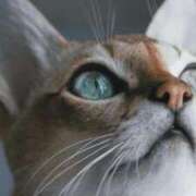 ヒメ日記 2026/01/31 22:36 投稿 みう 千姫(道後)