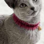 ヒメ日記 2026/02/08 16:48 投稿 みう 千姫(道後)