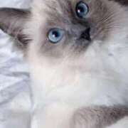 ヒメ日記 2026/02/10 19:11 投稿 みう 千姫(道後)