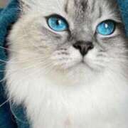 ヒメ日記 2026/02/11 22:57 投稿 みう 千姫(道後)