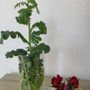 ヒメ日記 2026/02/27 23:41 投稿 みう 千姫(道後)