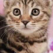 ヒメ日記 2026/02/28 19:20 投稿 みう 千姫(道後)