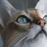 ヒメ日記 2026/03/03 21:30 投稿 みう 千姫(道後)