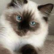 ヒメ日記 2026/03/04 20:41 投稿 みう 千姫(道後)