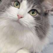 ヒメ日記 2026/03/07 12:21 投稿 みう 千姫(道後)