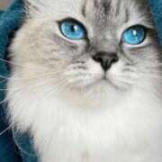 ヒメ日記 2026/03/08 23:12 投稿 みう 千姫(道後)