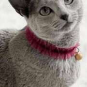 ヒメ日記 2026/03/12 19:23 投稿 みう 千姫(道後)