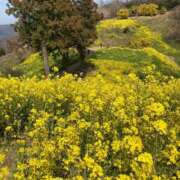 ヒメ日記 2026/03/17 23:19 投稿 みう 千姫(道後)