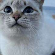 ヒメ日記 2026/03/18 22:16 投稿 みう 千姫(道後)