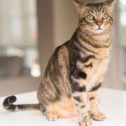 ヒメ日記 2026/03/21 21:33 投稿 みう 千姫(道後)