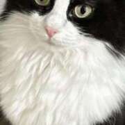 ヒメ日記 2026/03/25 21:53 投稿 みう 千姫(道後)