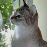 ヒメ日記 2026/03/30 17:10 投稿 みう 千姫(道後)