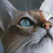 ヒメ日記 2026/03/31 23:49 投稿 みう 千姫(道後)